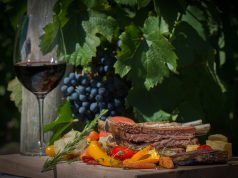 Viaje por la mejor gastronomía y enoturismo argentino