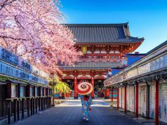 Explora la magia de Corea y Japón: Un viaje de encanto, tradición y vanguardia