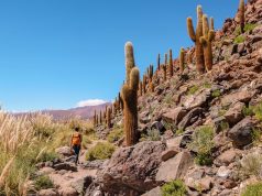 Para evitar a los turistas de Instagram casi 4 de cada 10 viajeros argentinos no etiquetan el destino que visitan