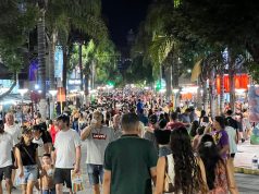 Gran ocupación del último fin de semana de enero con un 9% más de turistas