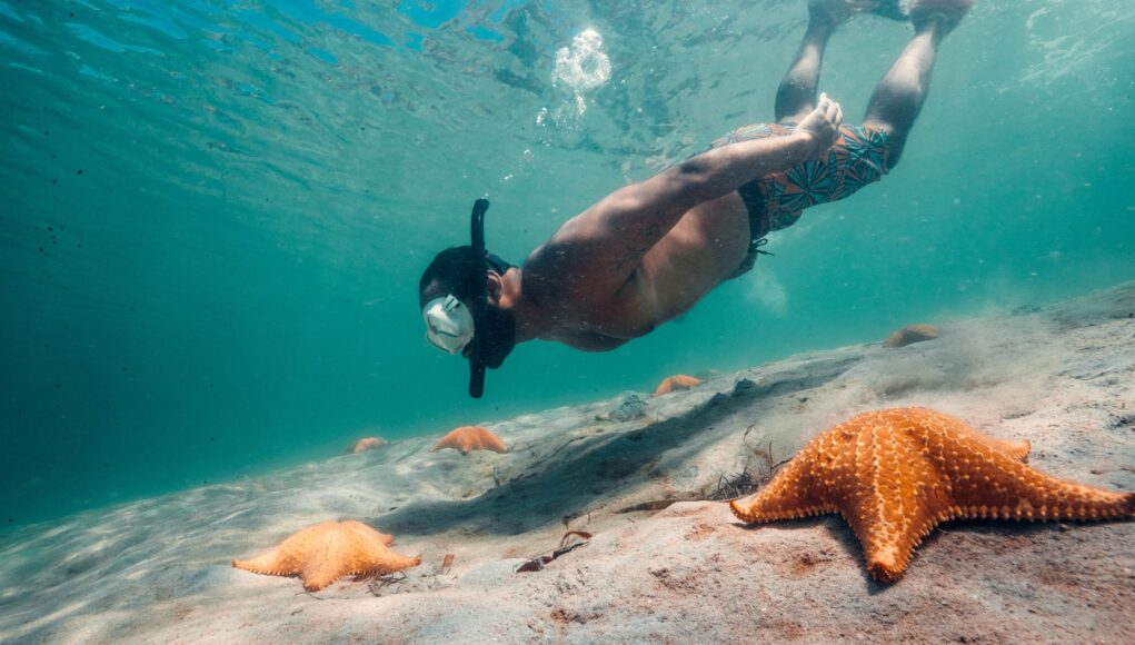 Snorkel at Estrella Beach,Colón Island, Bocas del Toro province
